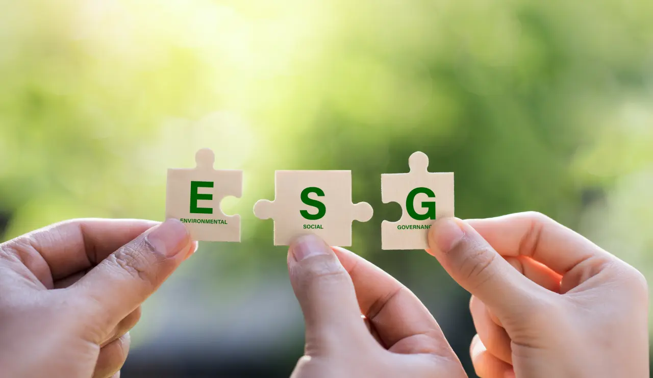 How to audit esg risk and reporting