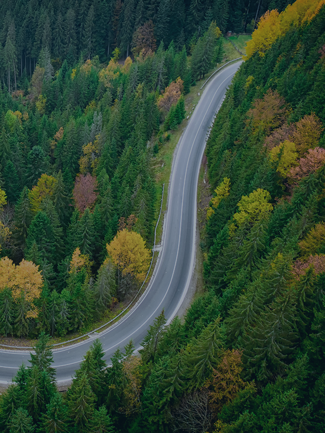 Demystifying ESG Frameworks: Your Essential Guide