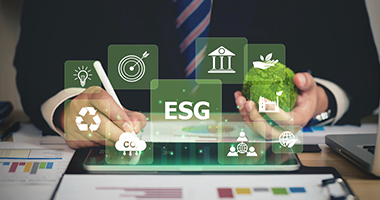 ESG Maturity Report