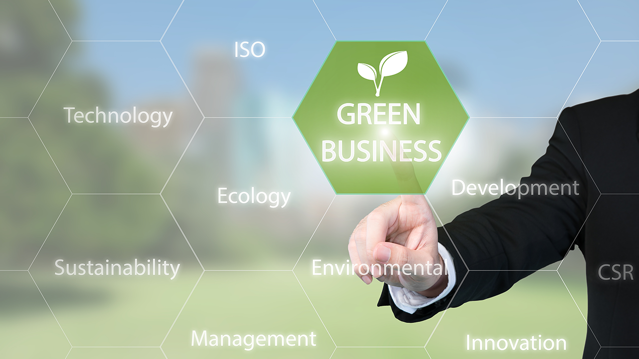 Understanding Sustainable Business Practices- Lythouse