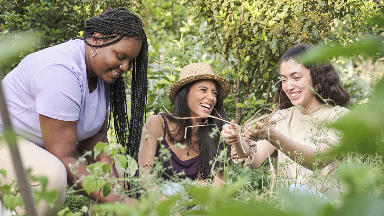 International Sustainability Standards Board (ISSB): Your Guide to ...