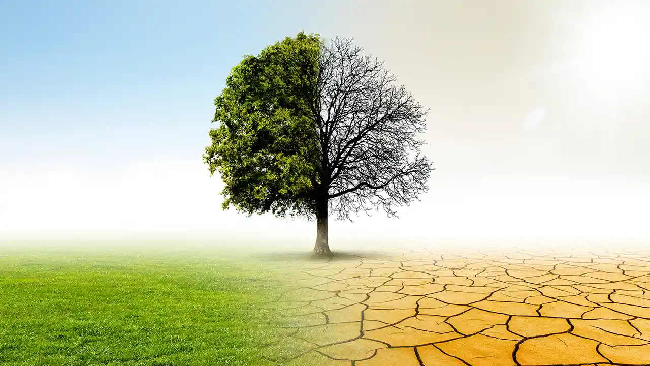 Climate positive, ESG Reporting on Climate Action