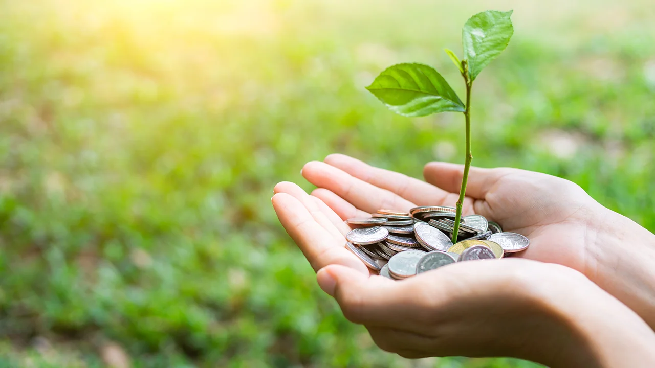 Sustainability in business