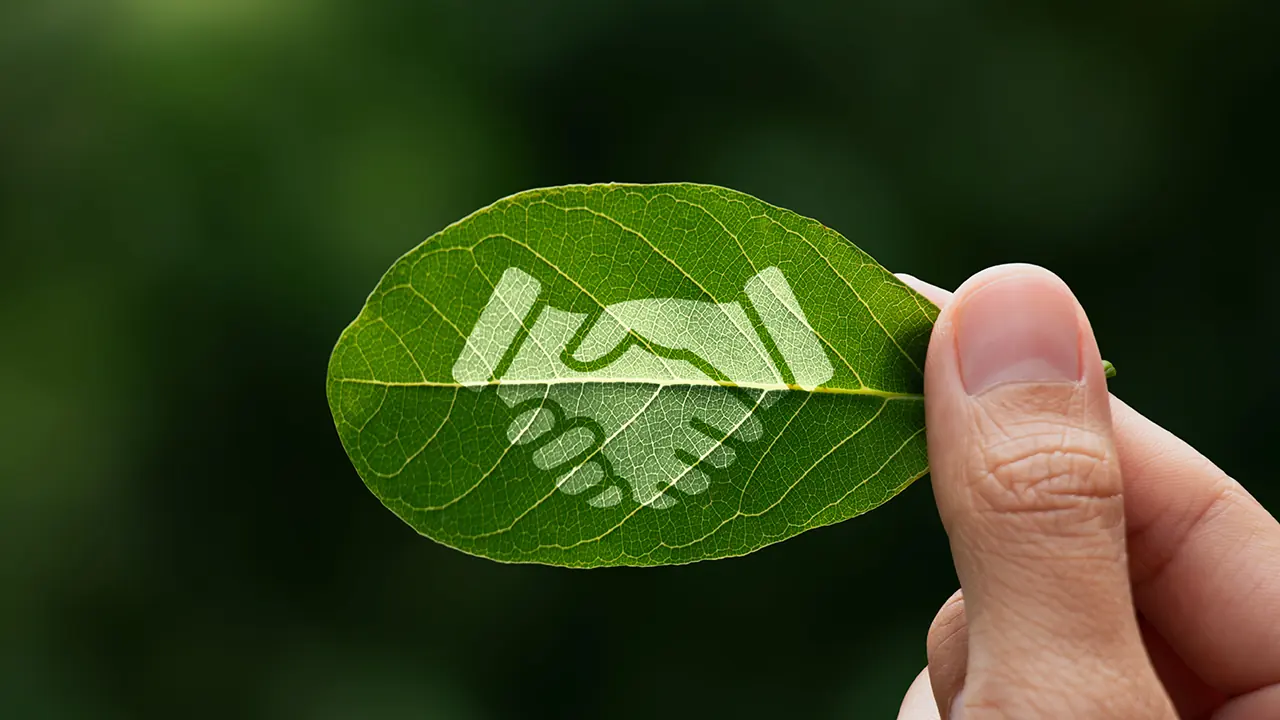 greenwashing regulations