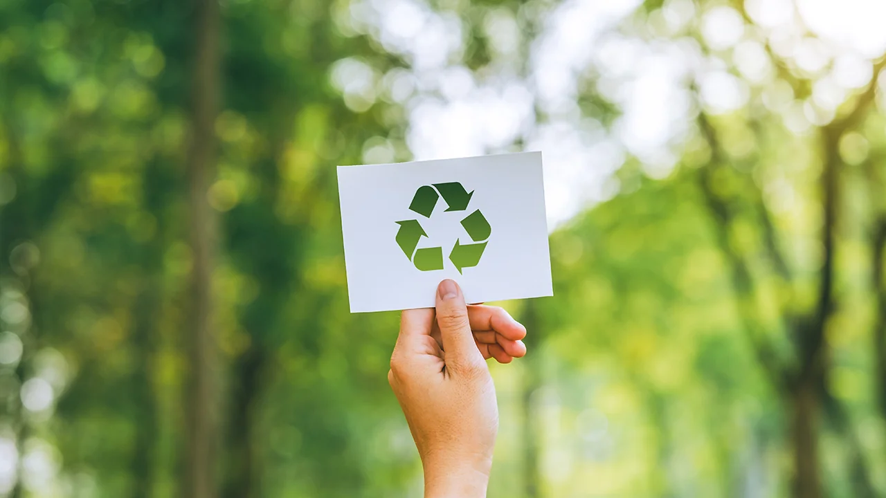 sustainable mobility, ESG Risk Management, carbon offset programs