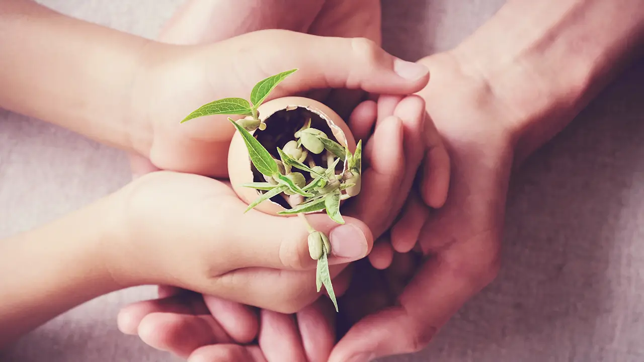 ESG Investing, ESG Reporting