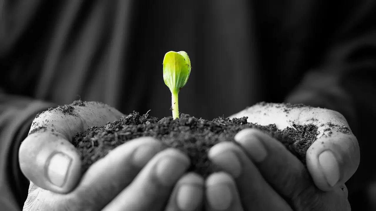 ISO 14001, Environment Development and Sustainability