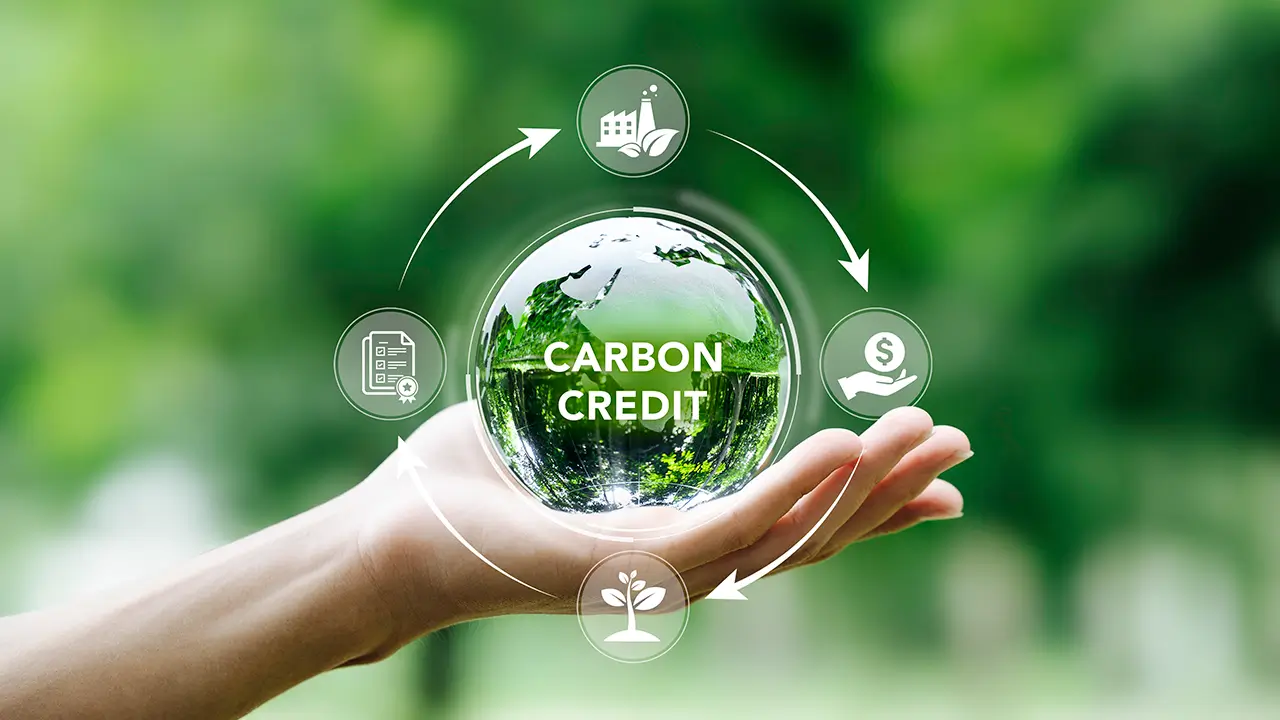 carbon credits