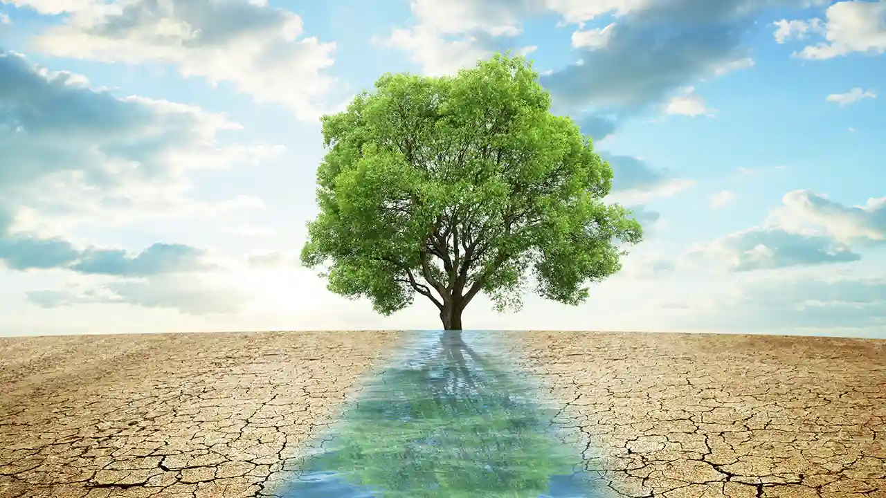 Climate Change and Sustainability
