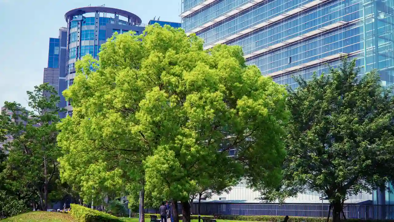 Corporate Sustainability Reporting Directive