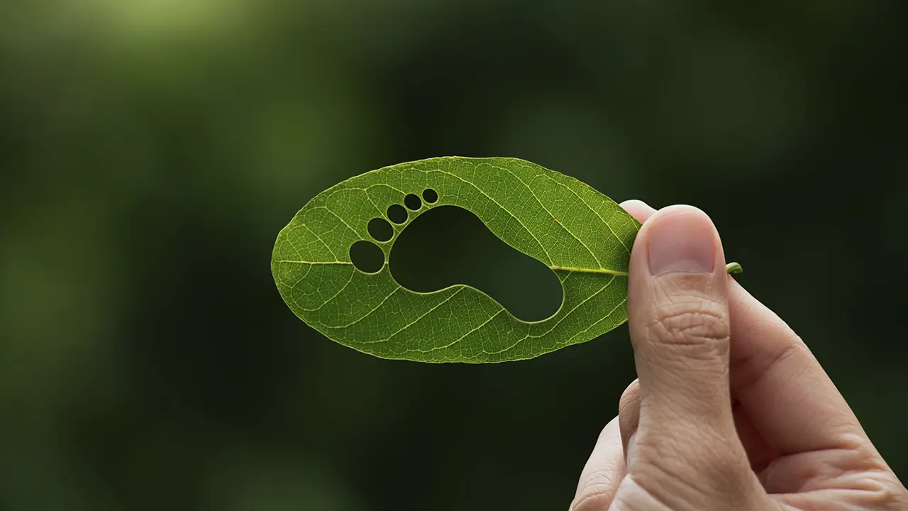 Ecological footprint