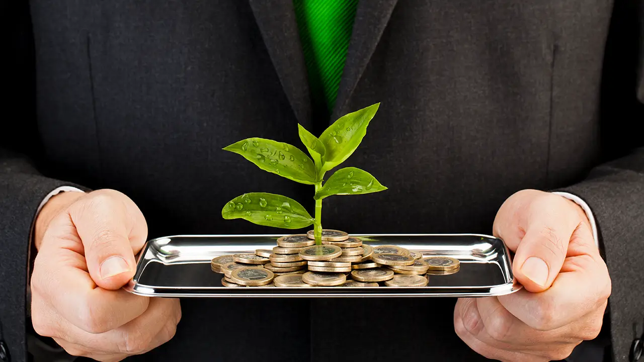 ESG Investment Strategies