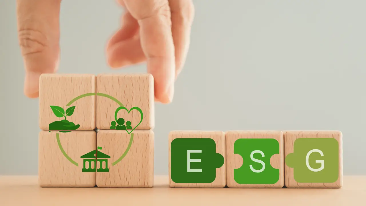 esg risk management framework