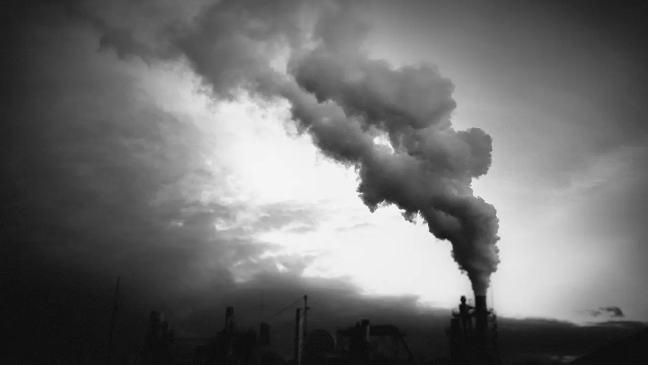 How to Reduce Carbon Footprint