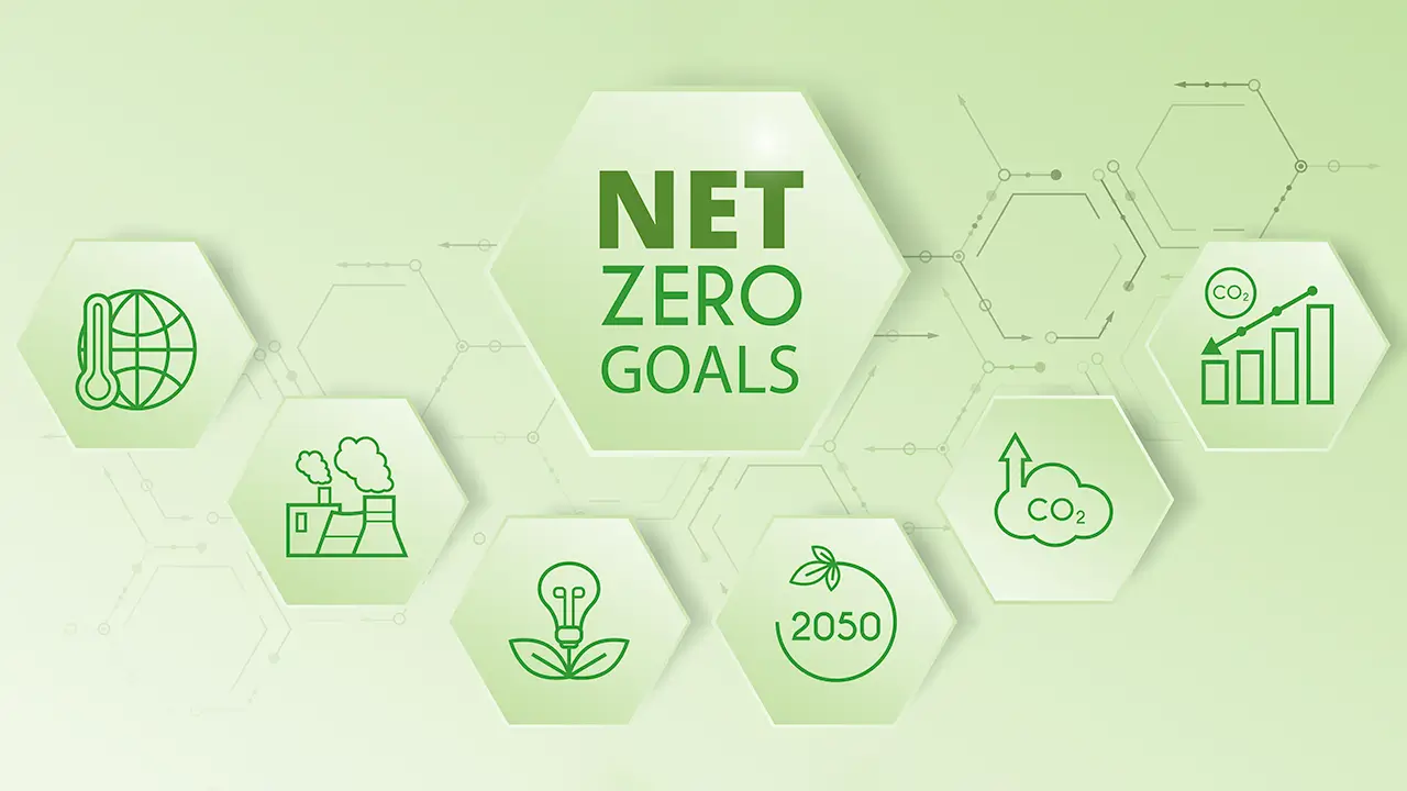 Net Zero Goals