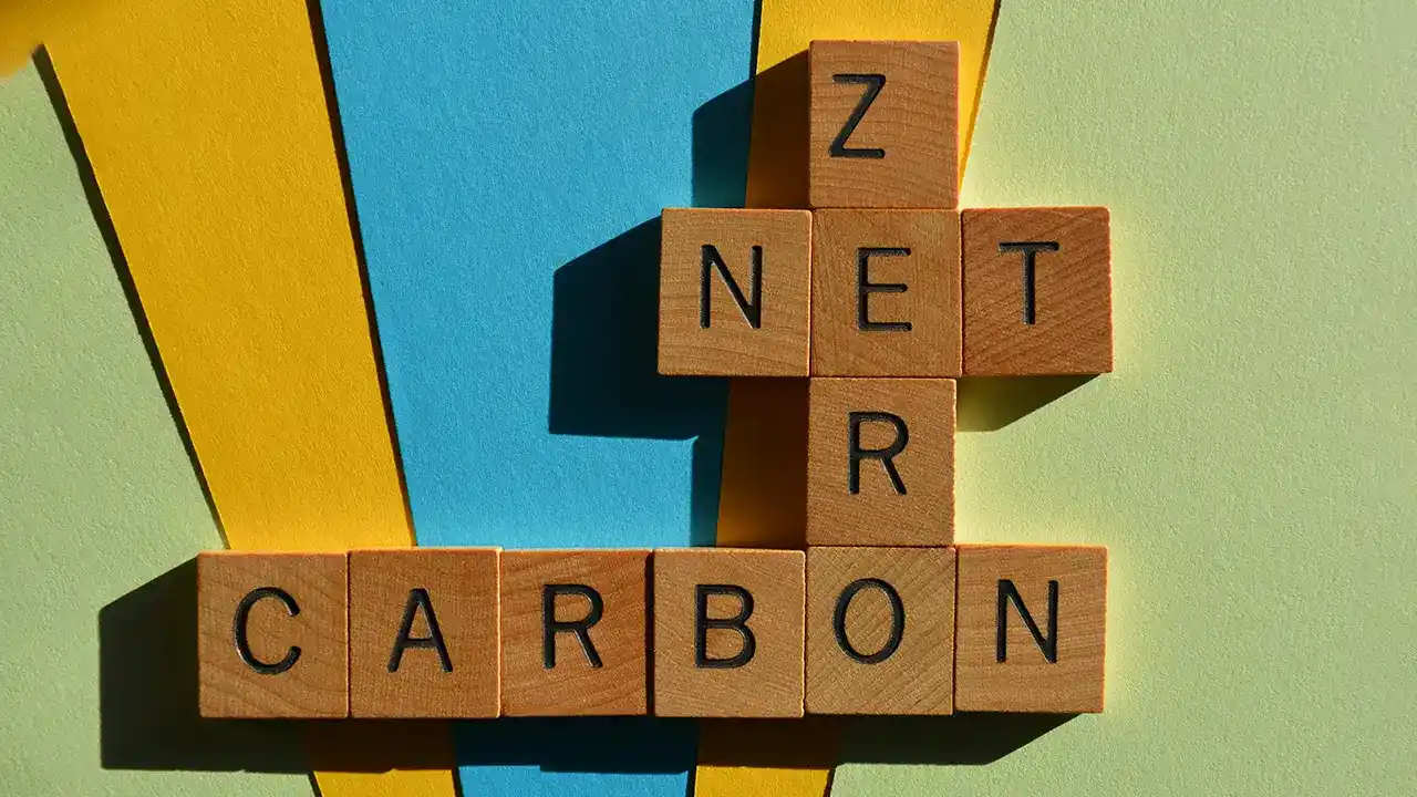 carbon neutral vs net zero, Net Zero Strategy