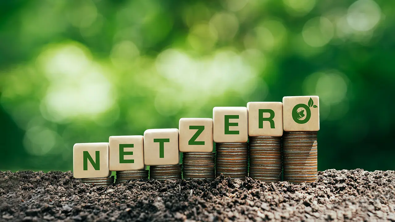 net zero target