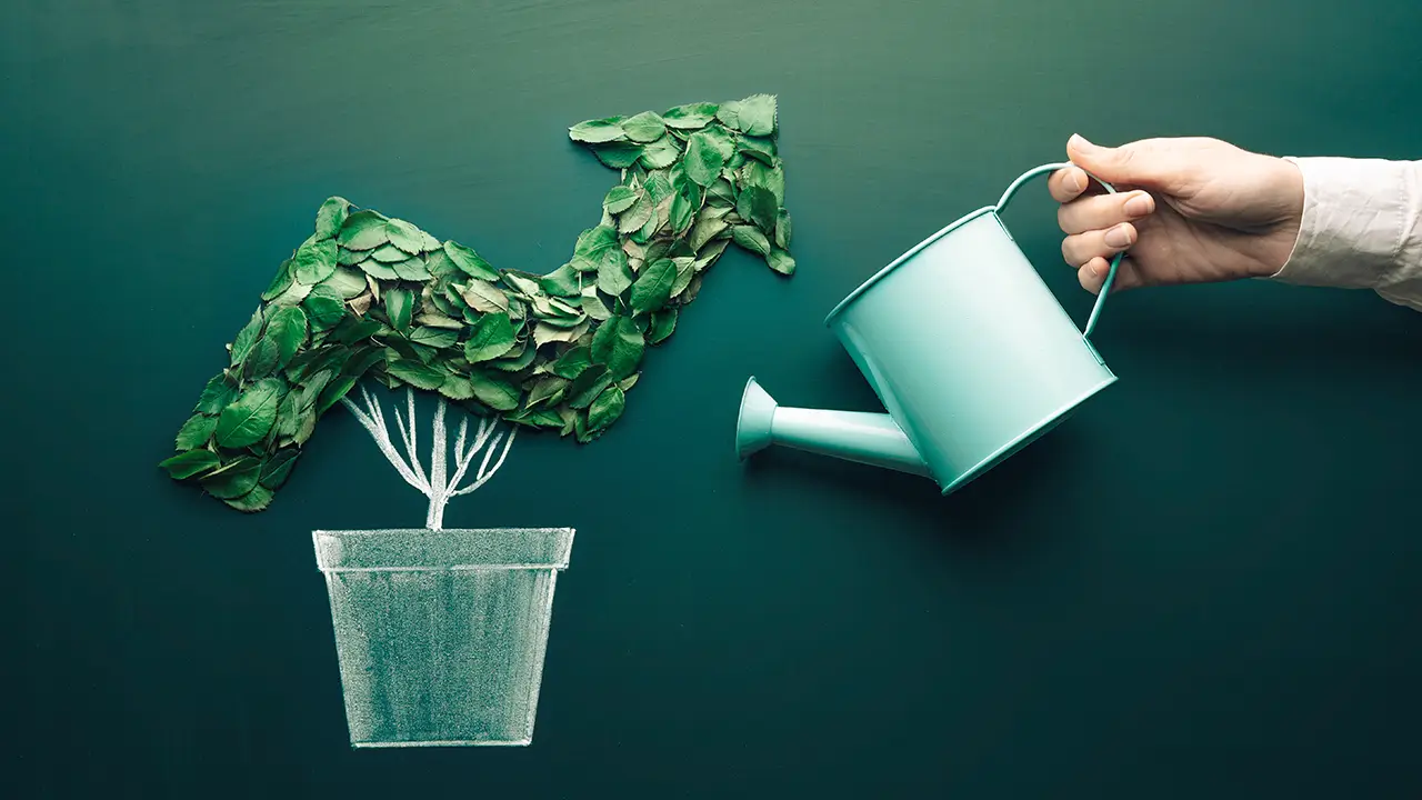 Plastic Carbon Footprint