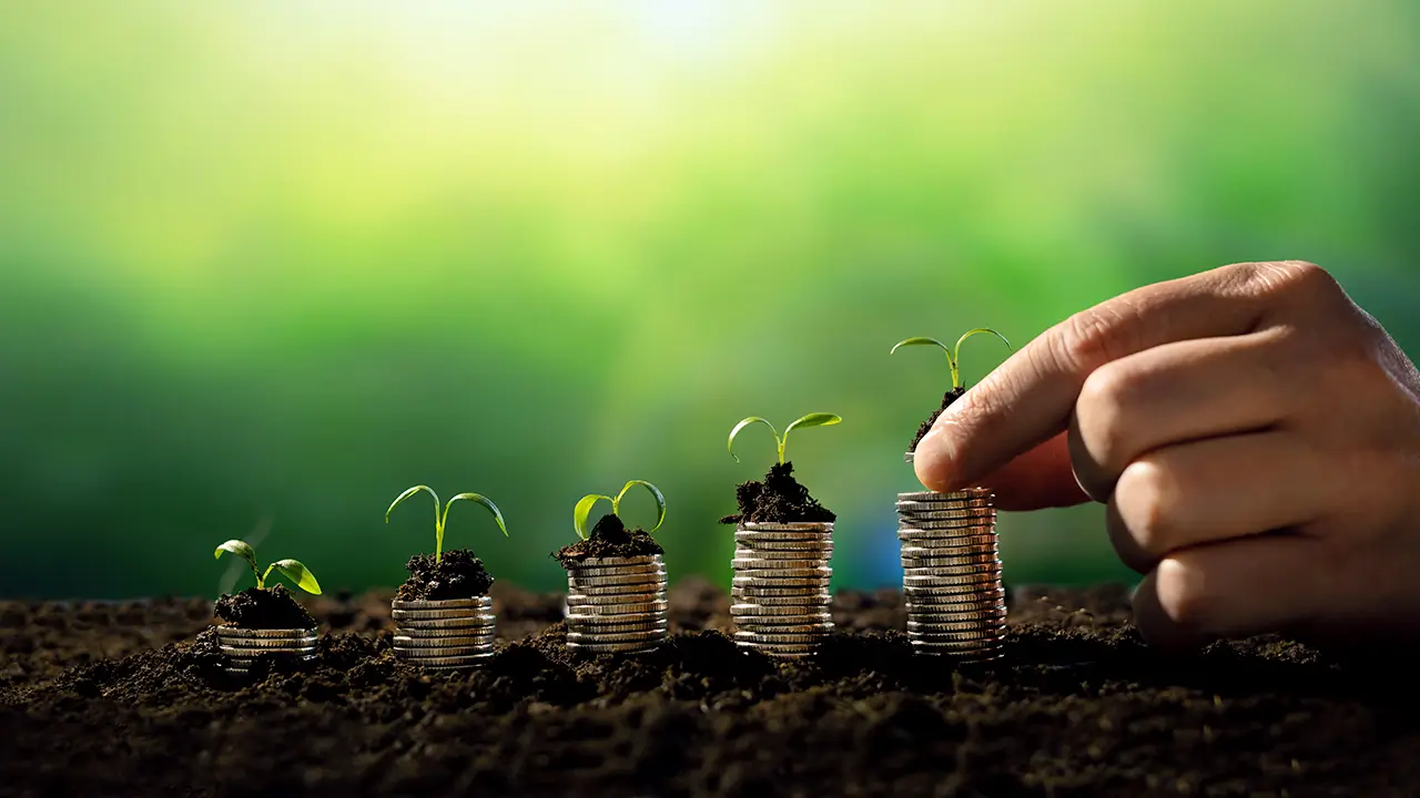 Carbon Credit Costs