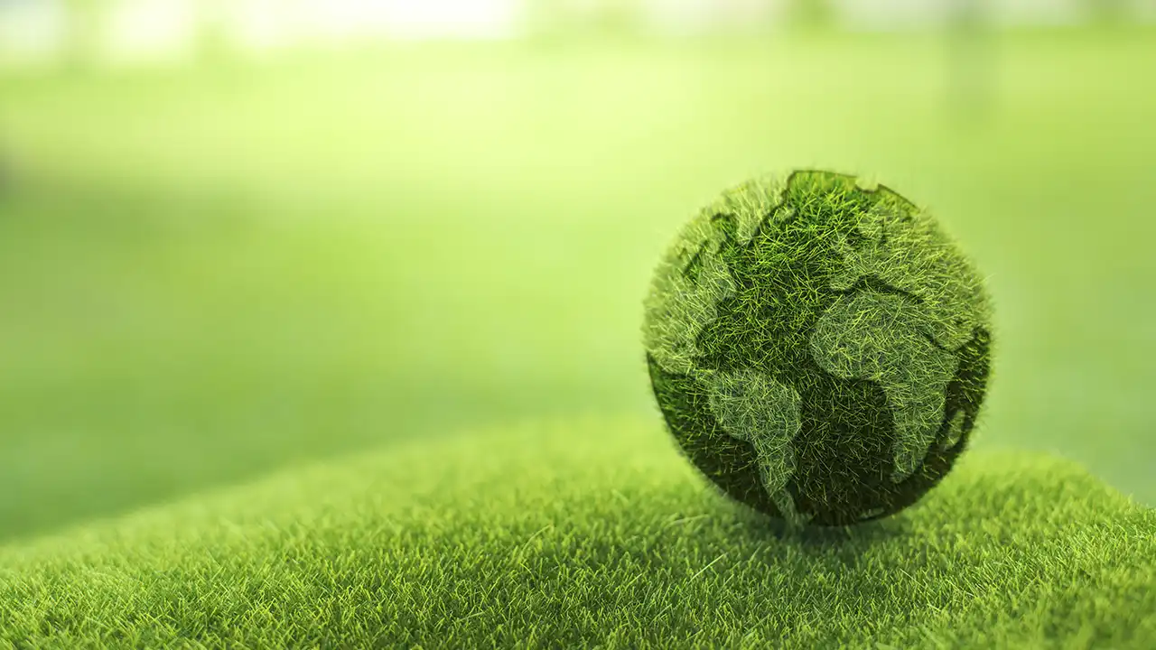 Biodiversity & Sustainability