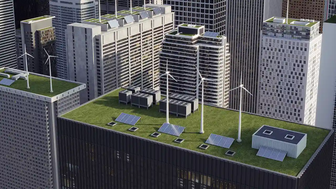Top 5 Best Carbon Credit Companies
